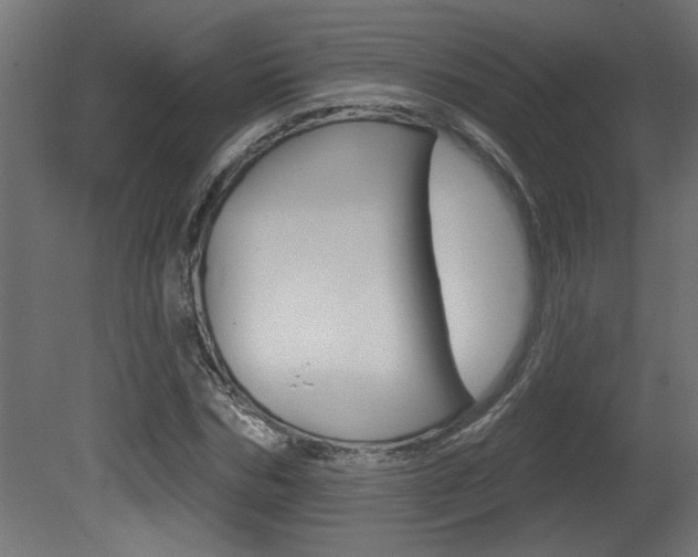 X0000081460970200701121037