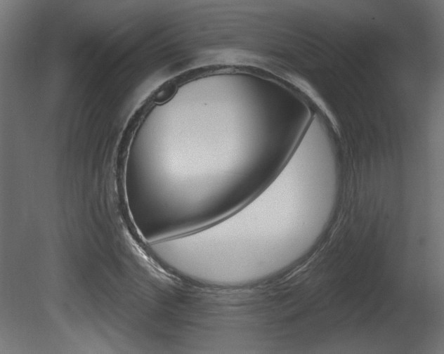 X0000081460972200701121037