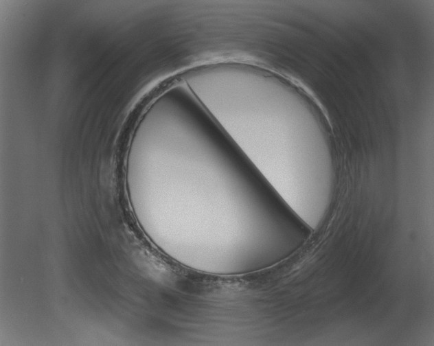 X0000081460975200701121037