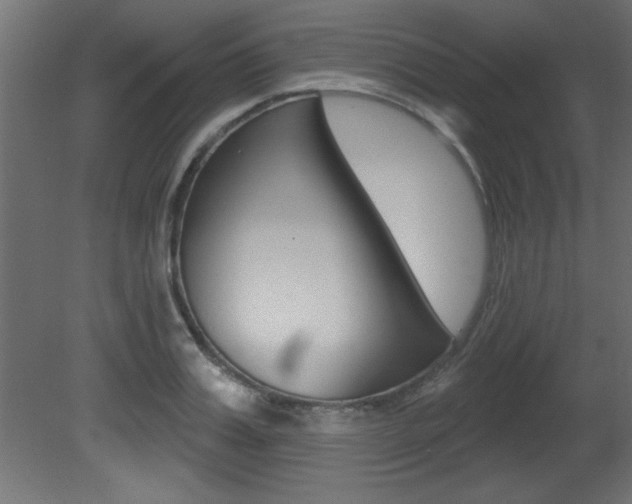 X0000081460987200701121037
