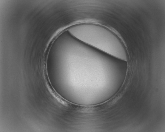 X0000081460989200701121036