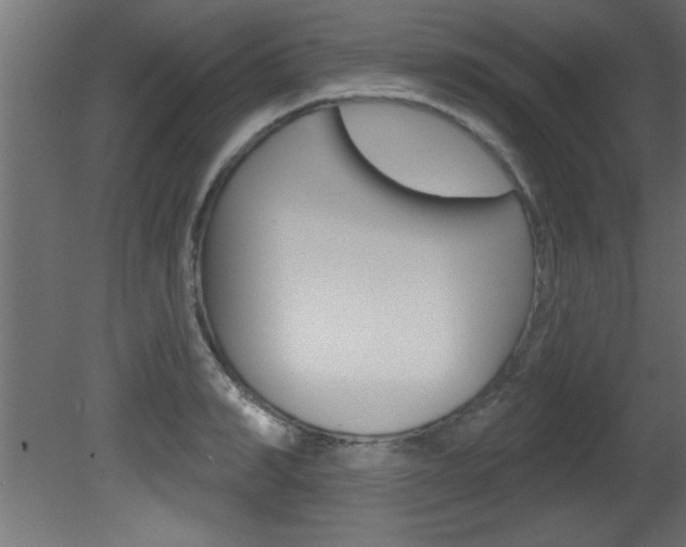 X0000081460990200701121036