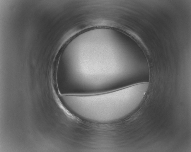 X0000081460991200701121036