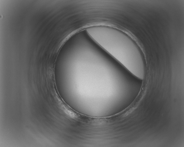 X0000081460993200701121036