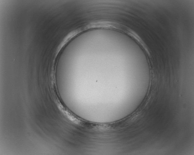 X0000081460994200701121036