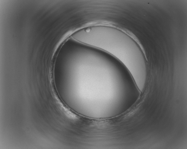 X0000081460997200701121036