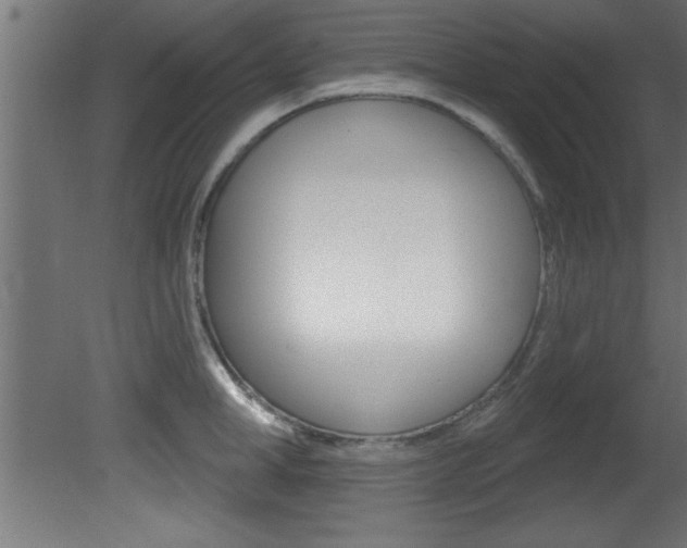 X0000081460998200701121036
