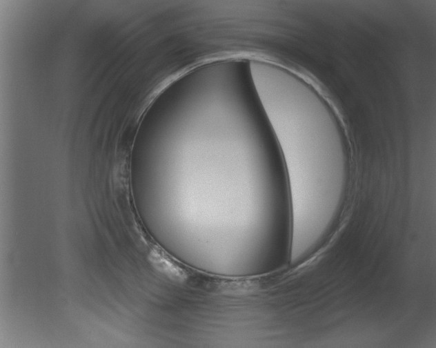 X0000081461001200701121036