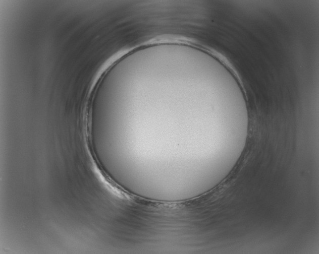 X0000081461003200701121036