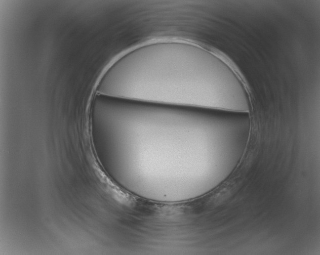 X0000081461004200701121036