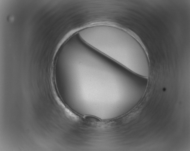 X0000081461005200701121036