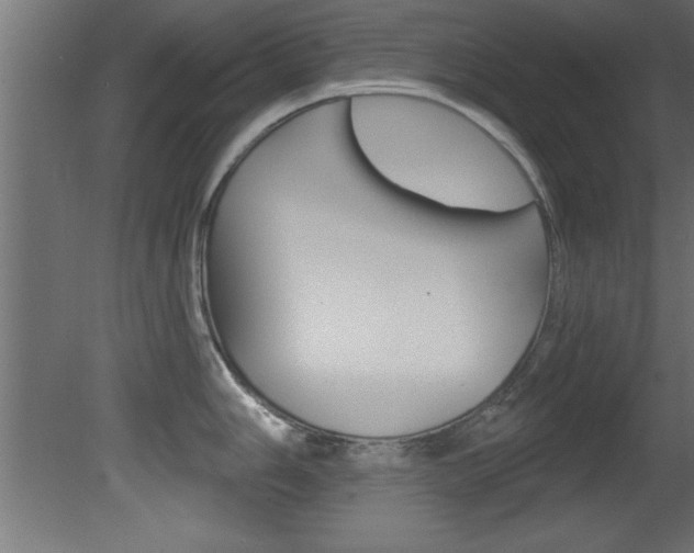 X0000081461006200701121036