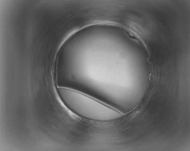 X0000081461007200701121036