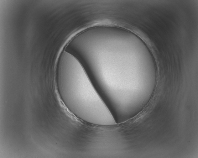 X0000081461008200701121036