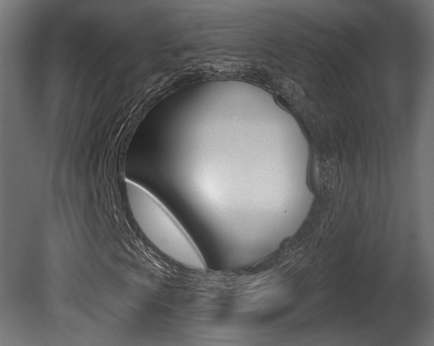 X0000081461009200701121035