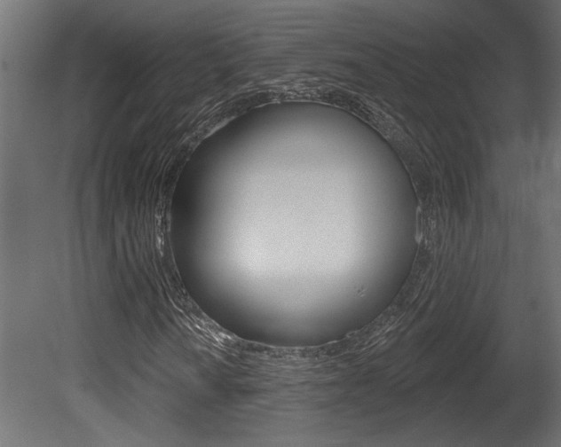 X0000081461010200701121035