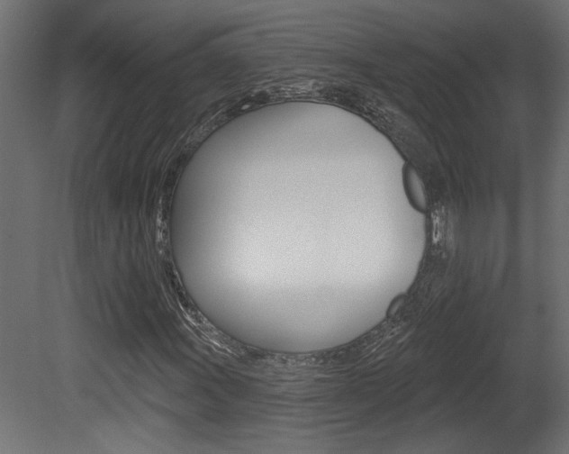 X0000081461011200701121035