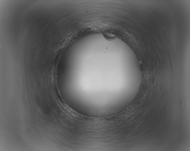 X0000081461012200701121035