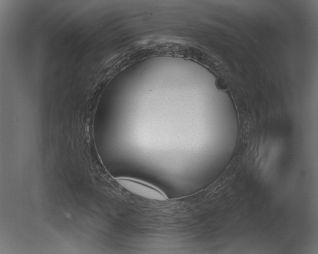X0000081461013200701121035