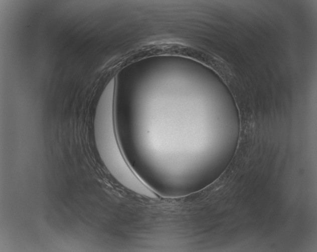 X0000081461014200701121035