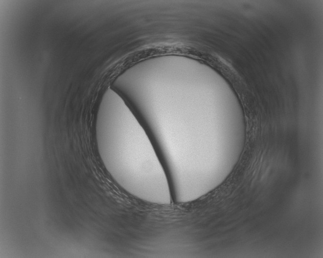 X0000081461015200701121035