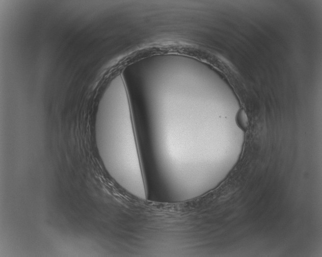 X0000081461016200701121035