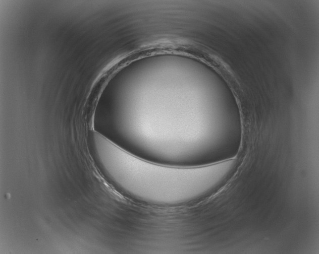 X0000081461018200701121035