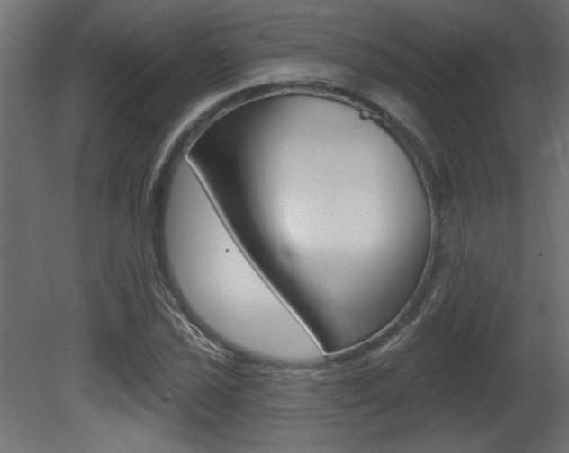 X0000081461021200701121036