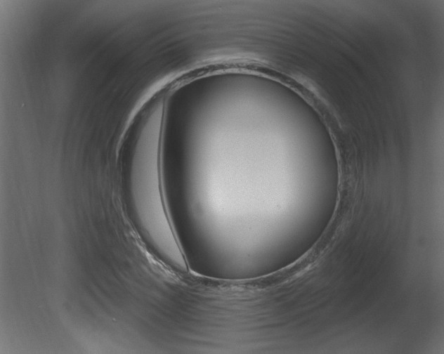 X0000081461022200701121036