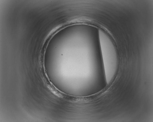 X0000081461026200701121036