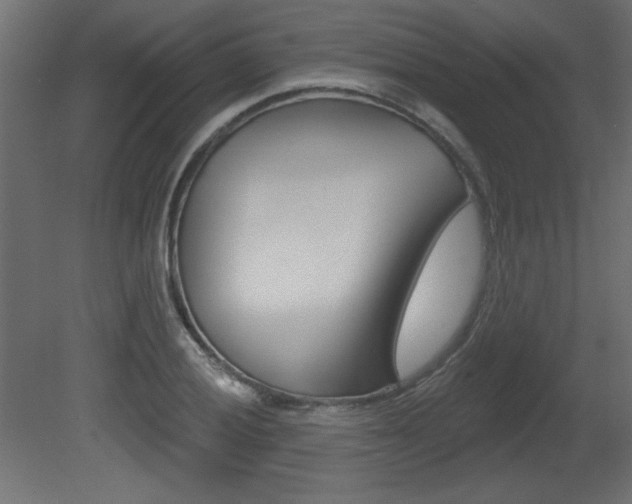 X0000081461028200701121036