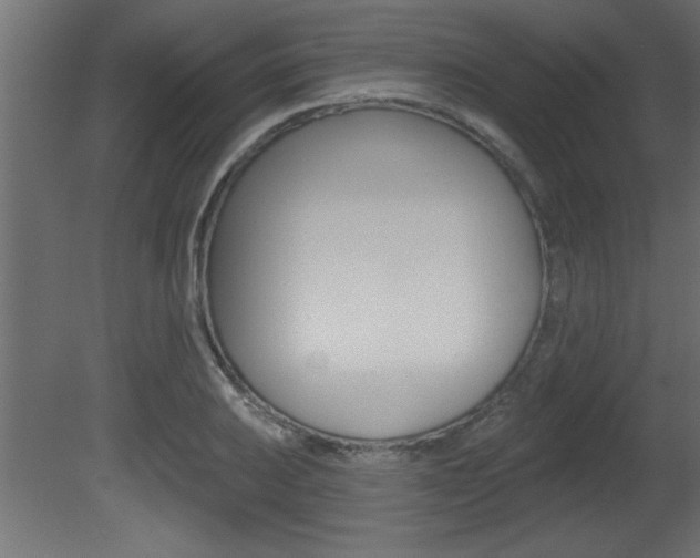 X0000081461031200701121036