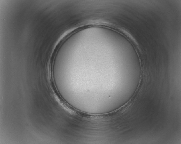 X0000081461032200701121036