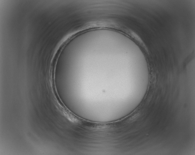 X0000081461035200701121036