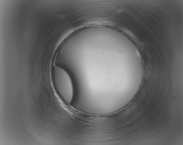 X0000081461039200701121036