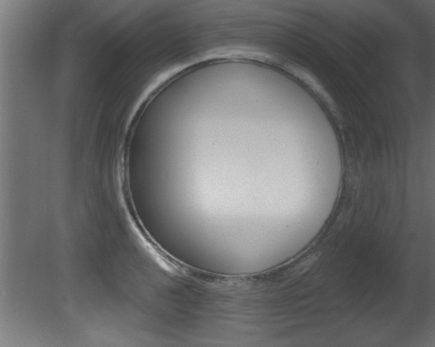 X0000081461040200701121036