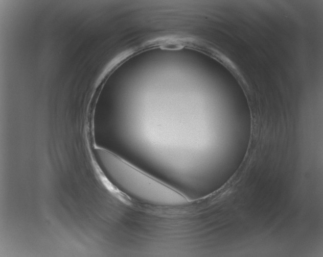 X0000081461042200701121036