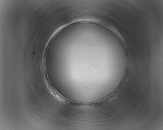 X0000081461044200701121036