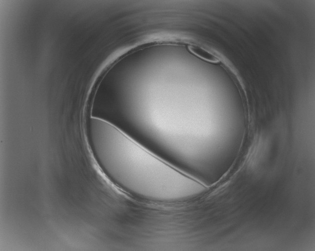 X0000081461045200701121036