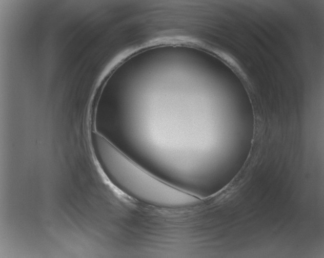 X0000081461046200701121036