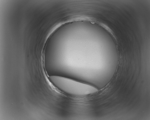 X0000081461047200701121036