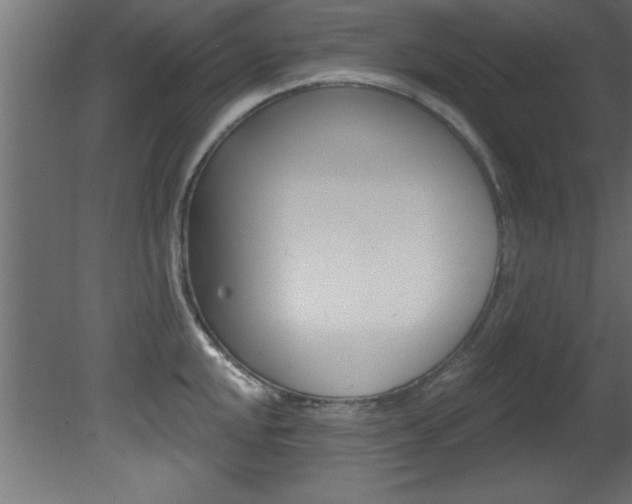 X0000081461048200701121036