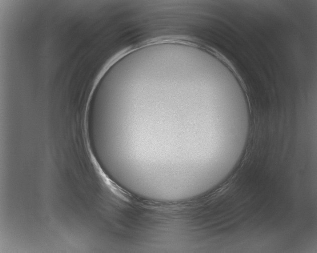 X0000081461050200701121036