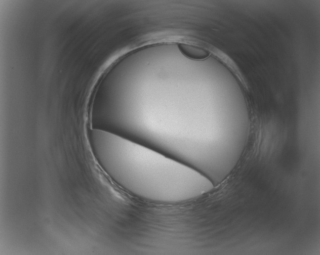 X0000081461051200701121036