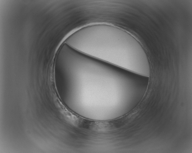 X0000081461052200701121036