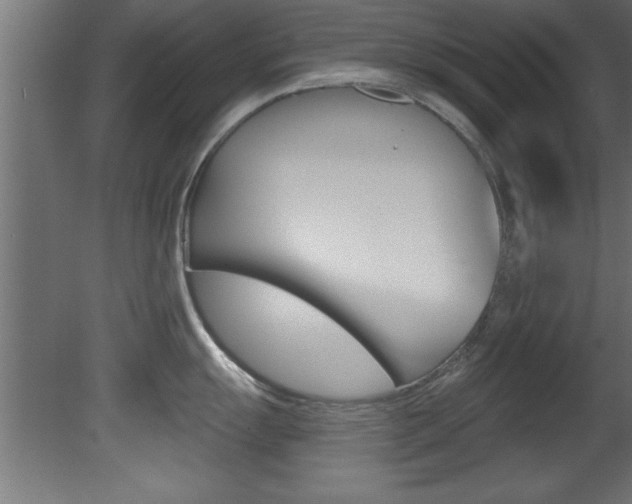 X0000081461055200701121036