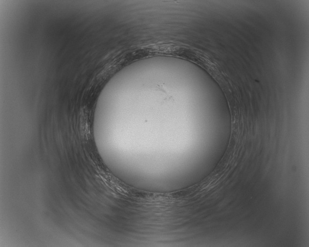 X0000081461058200701121035