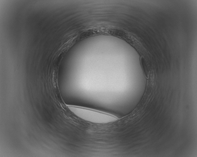 X0000081461060200701121035