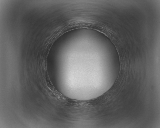 X0000081461061200701121035