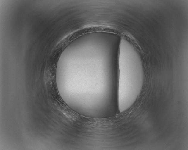 X0000081461064200701121035